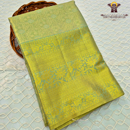 Pastel pista green with subtle aqua blue tones and rich golden zari Saree