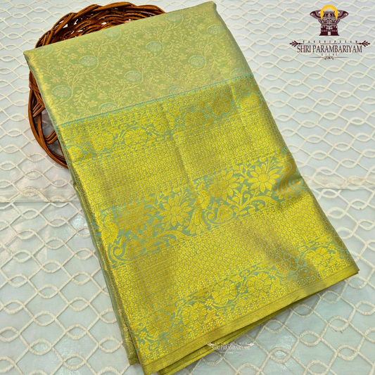 Pastel pista green with subtle aqua blue tones and rich golden zari Saree
