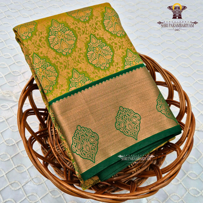 Rich golden mustard with a soft tissue sheen Saree