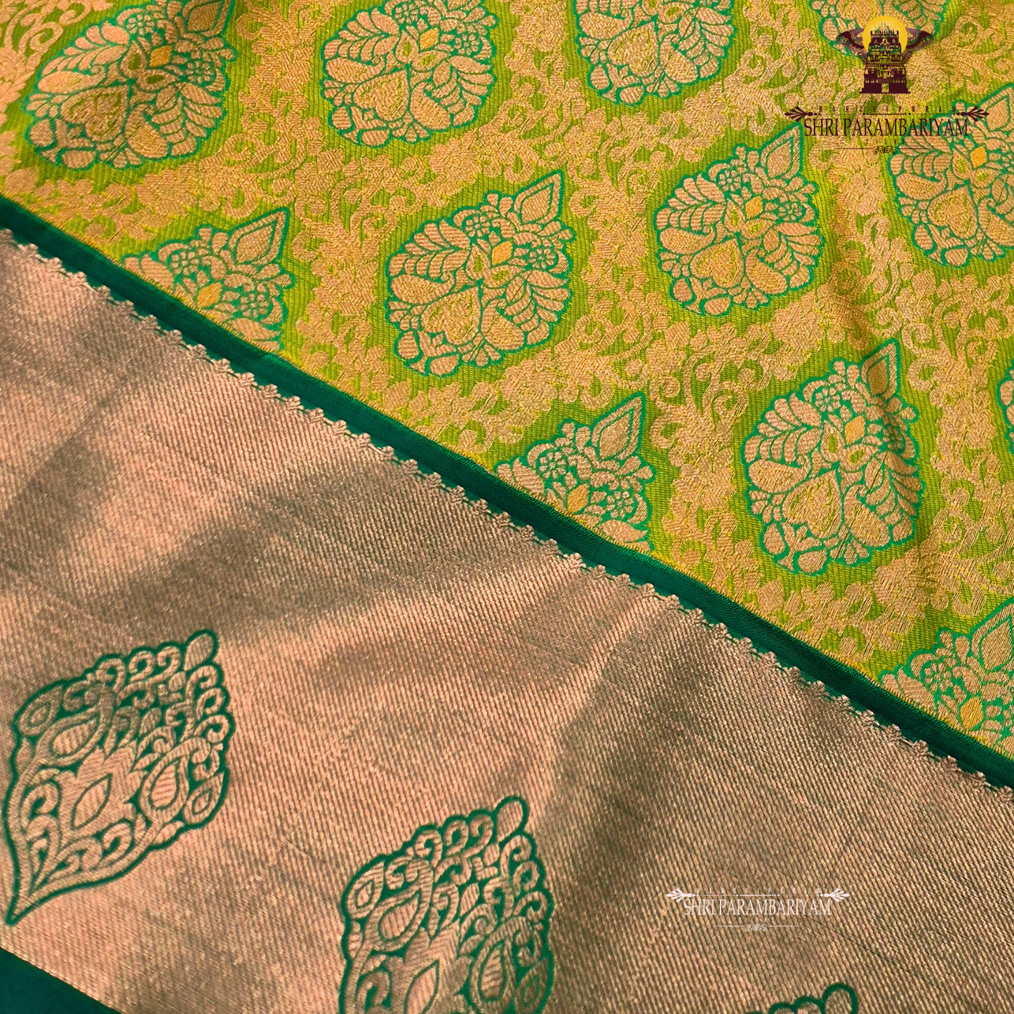 Rich golden mustard with a soft tissue sheen Saree