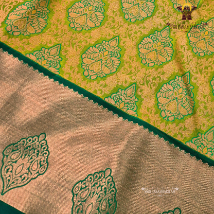 Rich golden mustard with a soft tissue sheen Saree