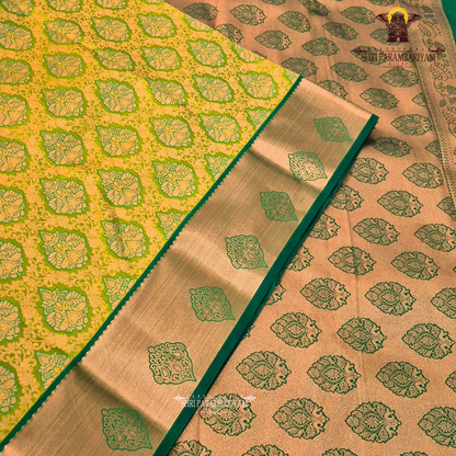 Rich golden mustard with a soft tissue sheen Saree