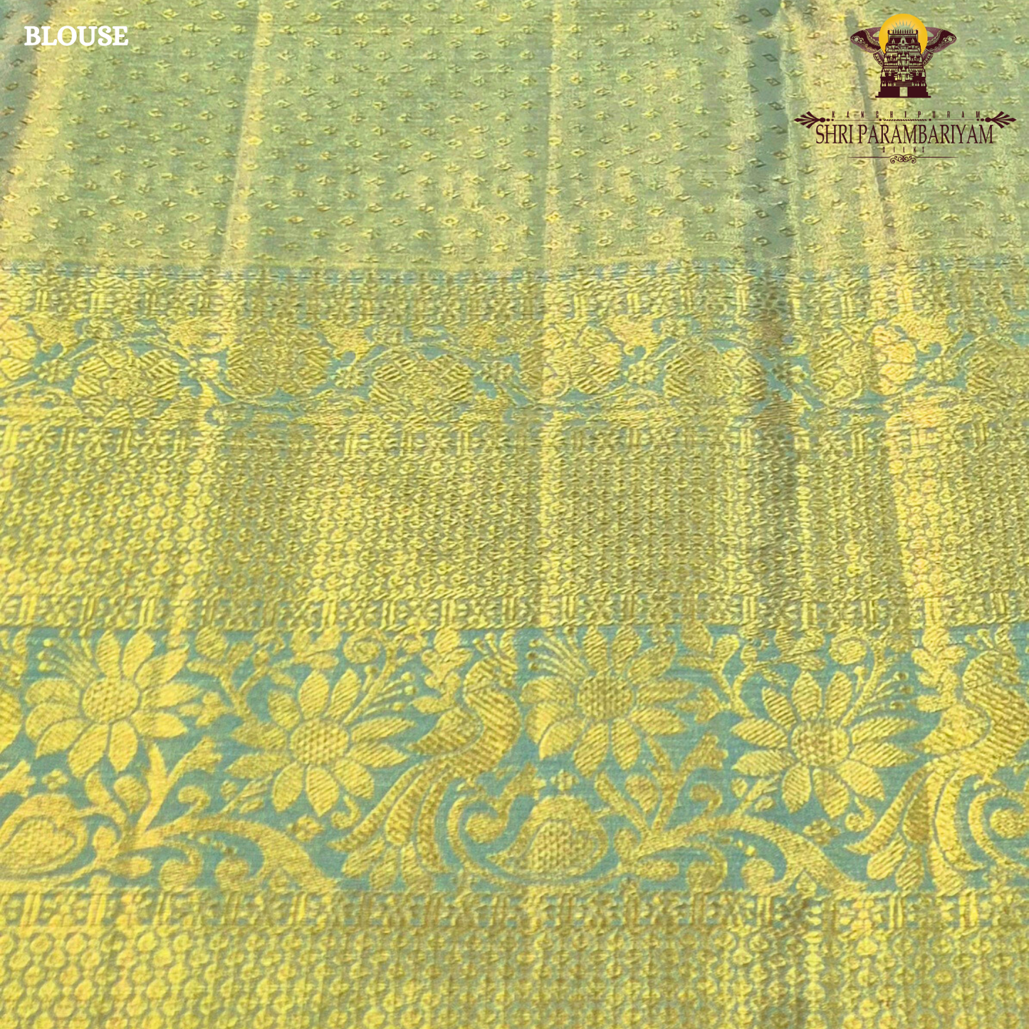 Pastel pista green with subtle aqua blue tones and rich golden zari Saree