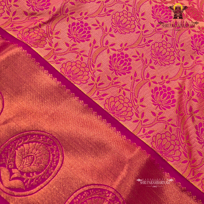 Warm peach-pink with a subtle tissue shimmer Saree