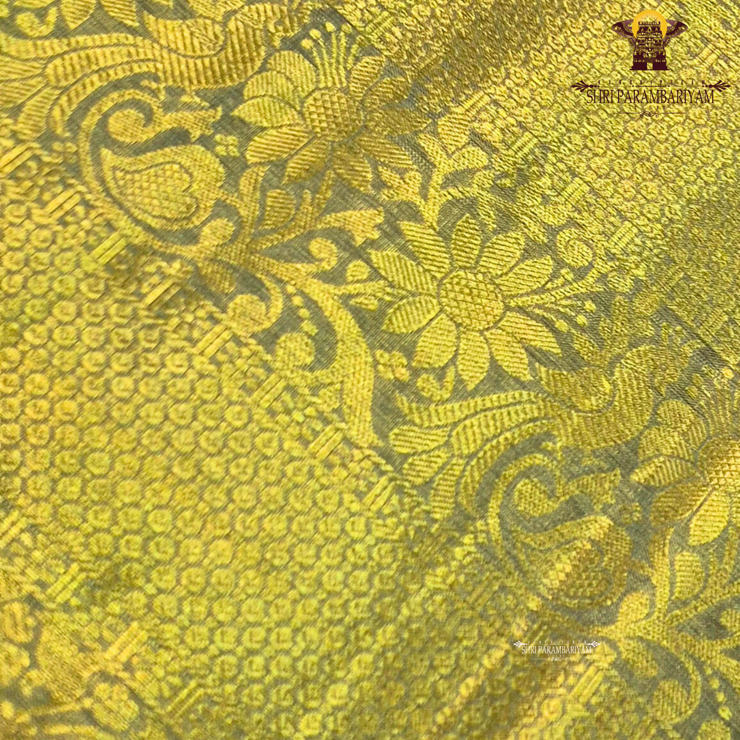 Rich antique gold with a subtle yellow-gold tone Saree