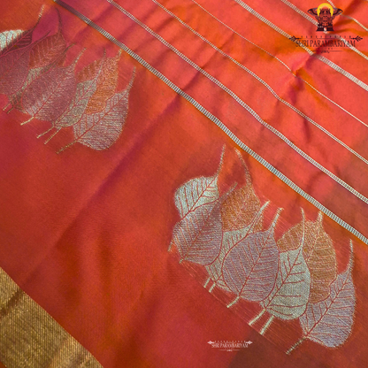 Bright Coral Red / Tomato Red Saree