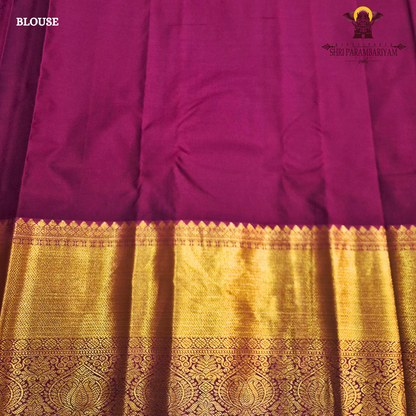 Rich burnt orange / rust orange Saree