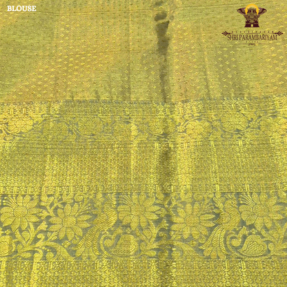 Rich antique gold with a subtle yellow-gold tone Saree
