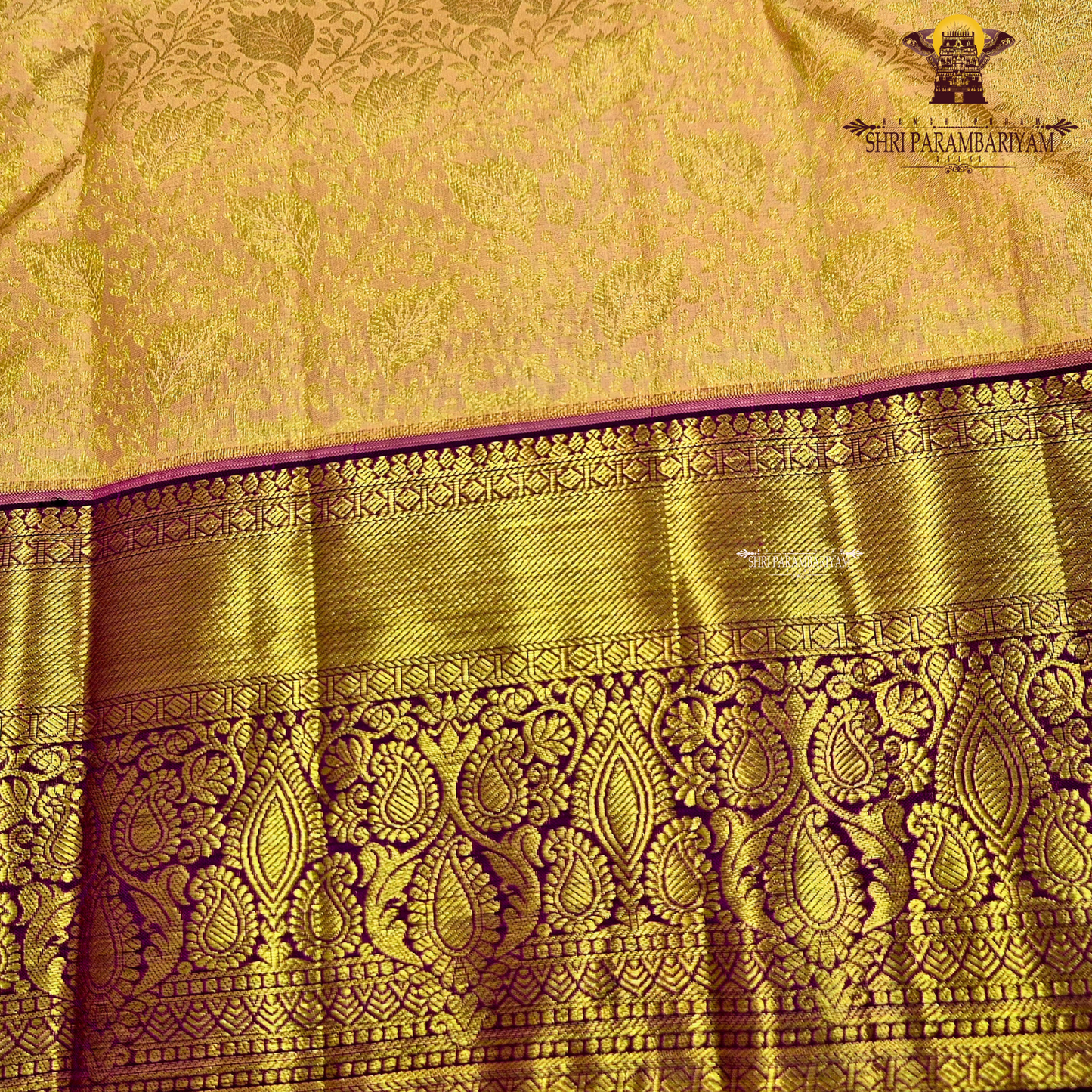 A golden mustard with rich gold zari weaving, complemented by a deep maroon (wine) korvai border Saree