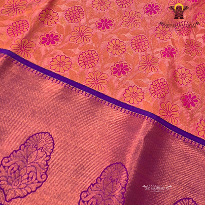 Soft coral-peach with a gentle tissue sheen Saree