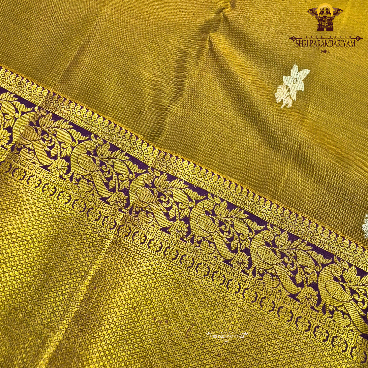 A rich mustard gold body paired with a contrasting deep purple 2-inch border enhanced with intricate gold zari Saree