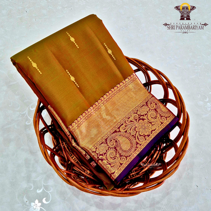 A rich antique mustard / golden olive shade with a warm undertone Saree