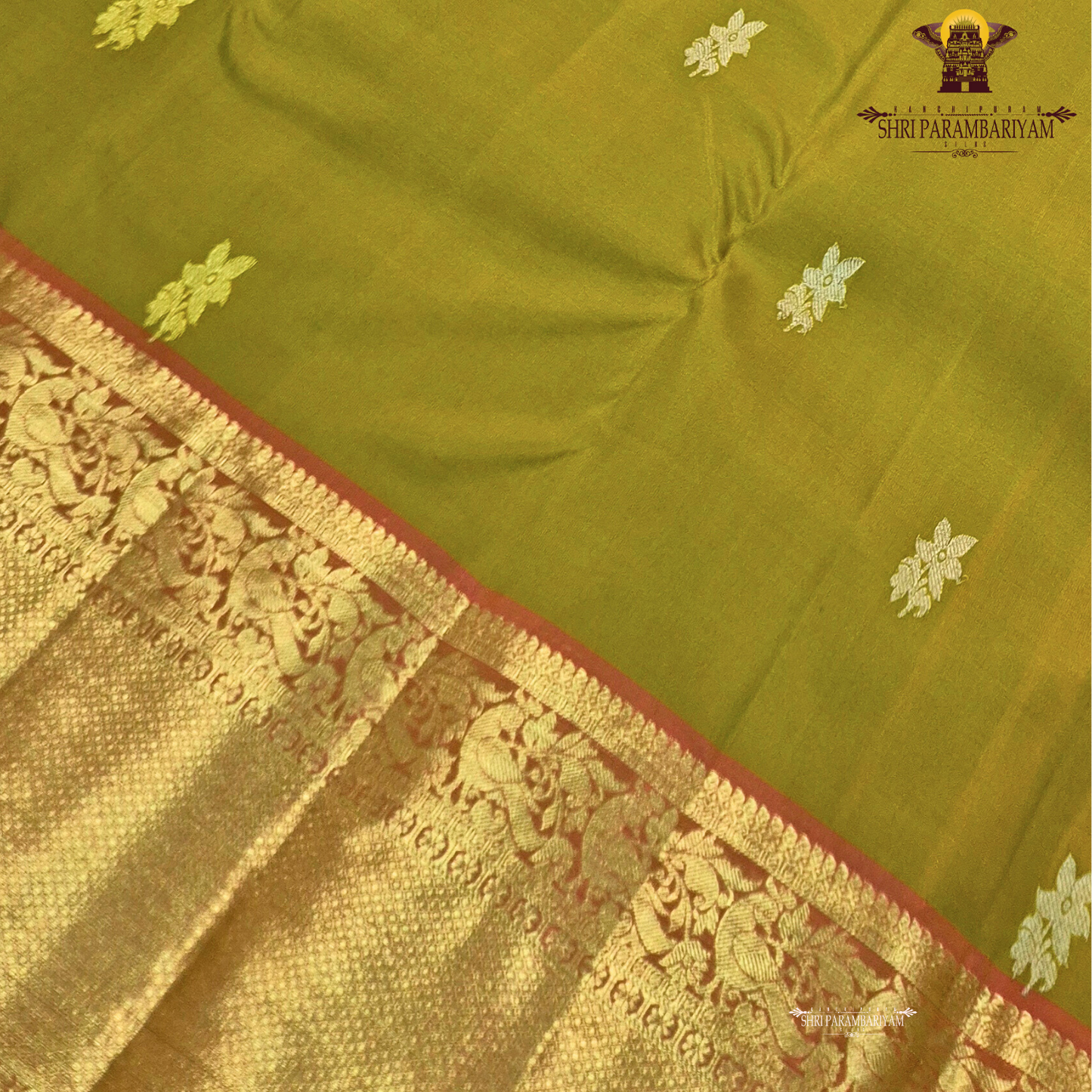 Vibrant Rani Pink with rich Gold zari border Saree