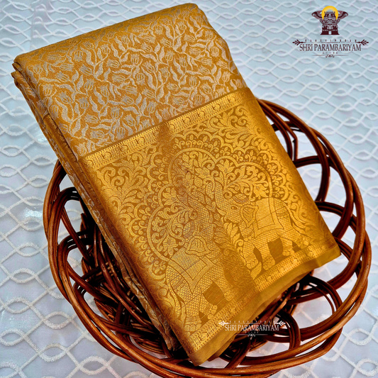 Rich mustard gold with a soft metallic tissue finish Saree