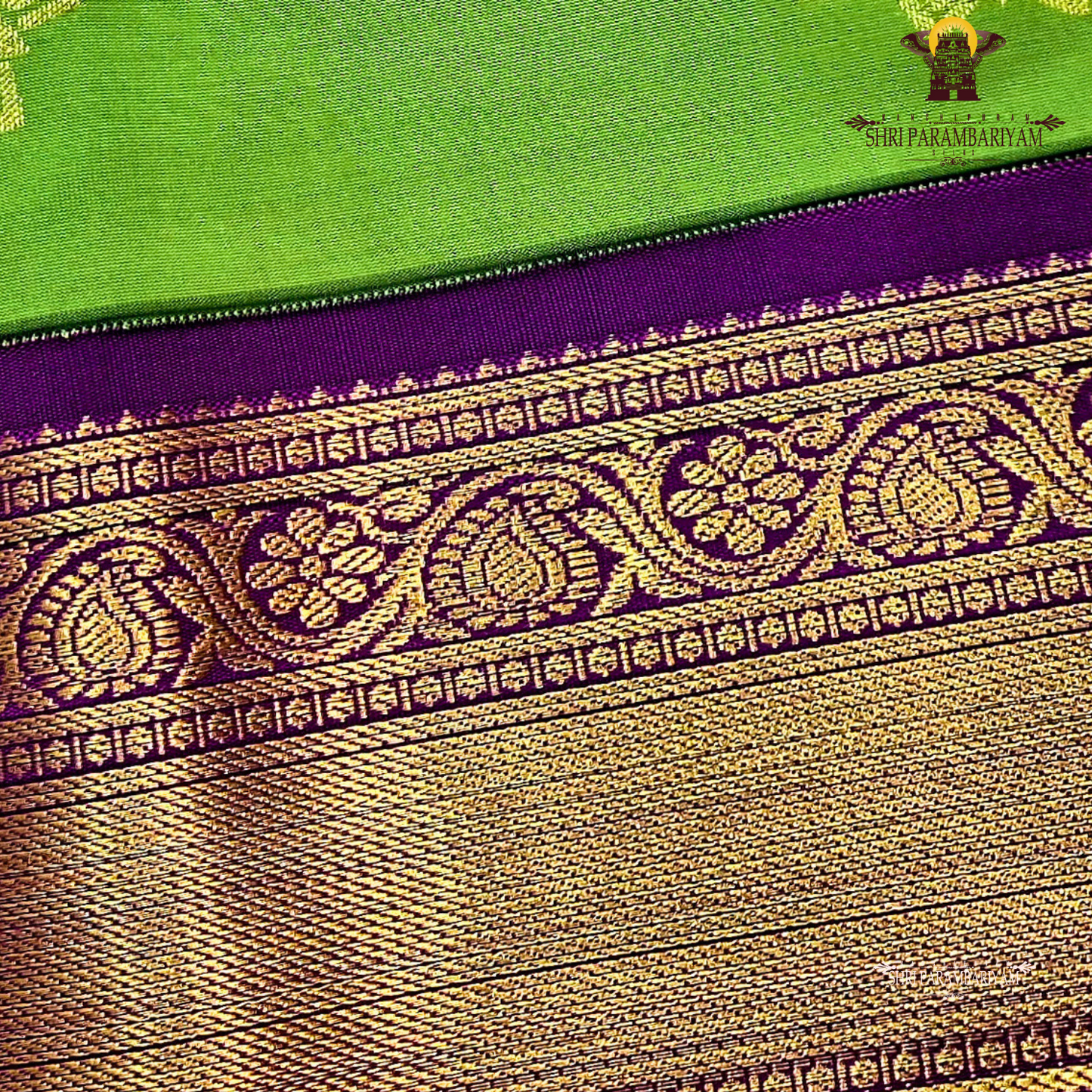 Fresh Parrot Green / Apple Green Saree
