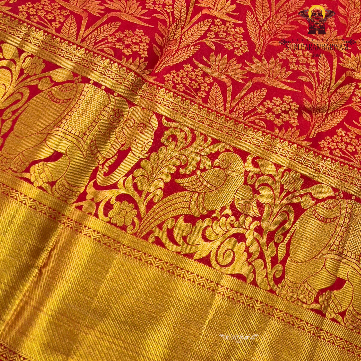 Rich bridal red base with Accentuated with bright gold zari work Saree