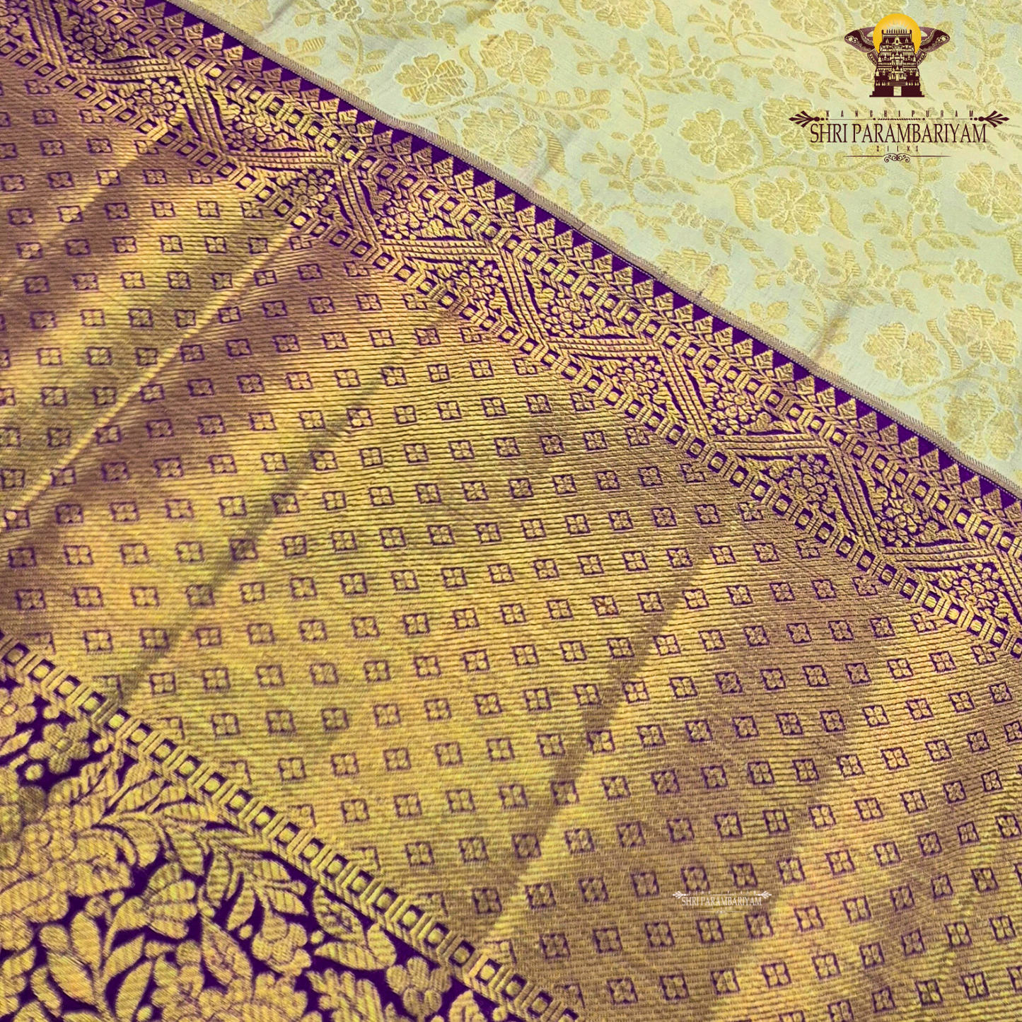 Soft light gold / cream with Rich royal purple (violet) border Saree