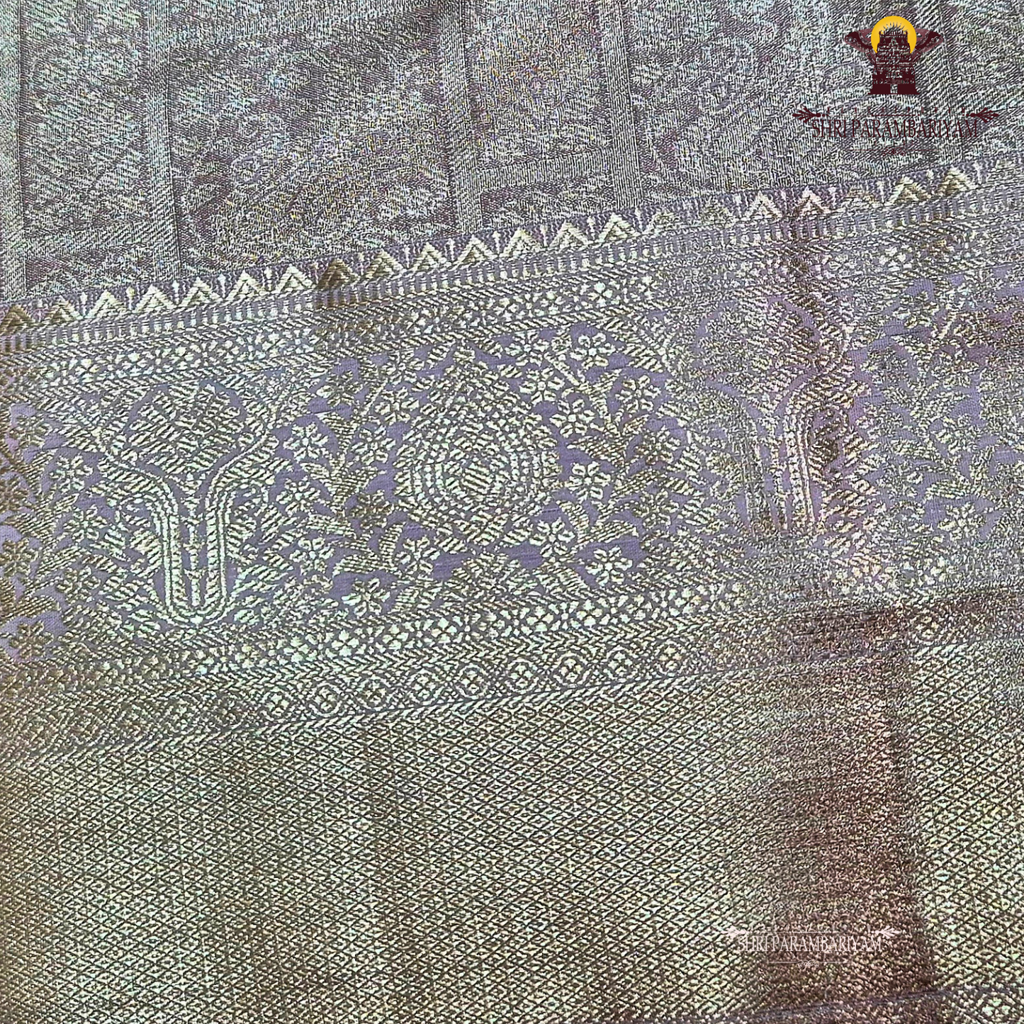 Soft champagne beige with a gentle metallic tissue sheen Saree