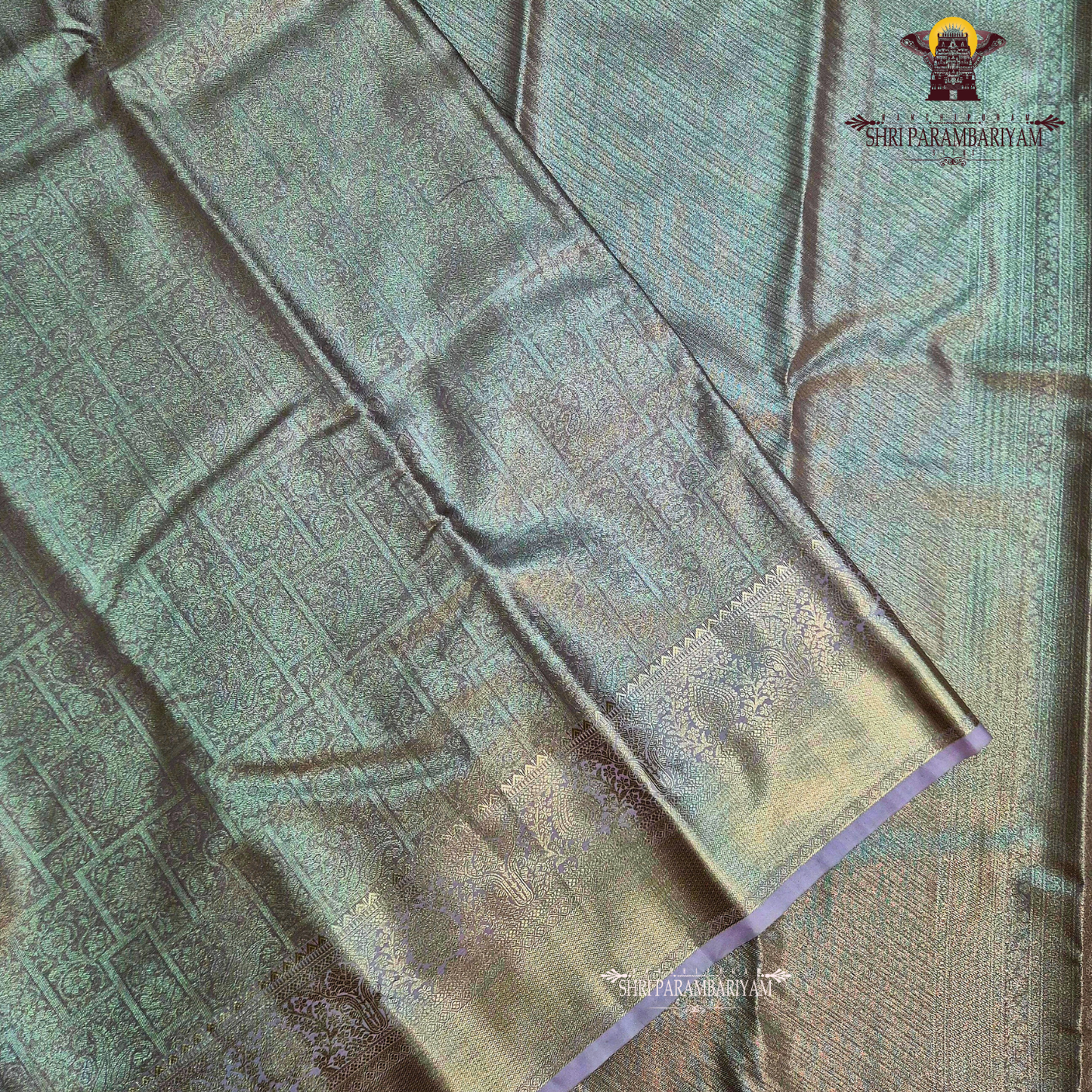 Soft champagne beige with a gentle metallic tissue sheen Saree