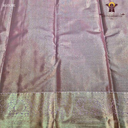 Soft champagne beige with a gentle metallic tissue sheen Saree