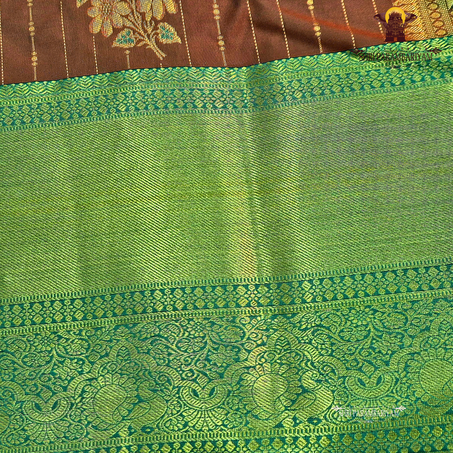 Warm rust brown Saree