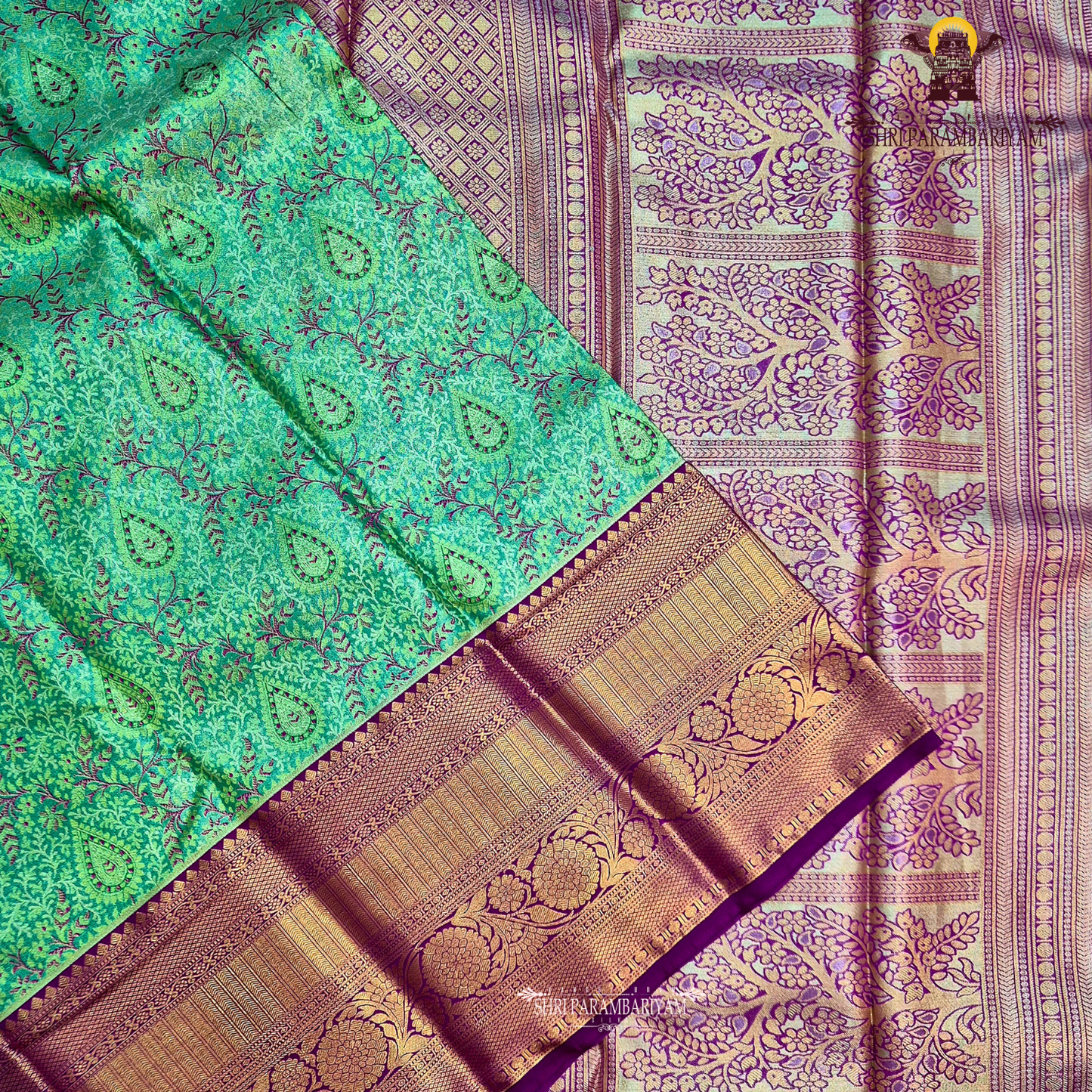 A beautiful peacock green Tissue Saree