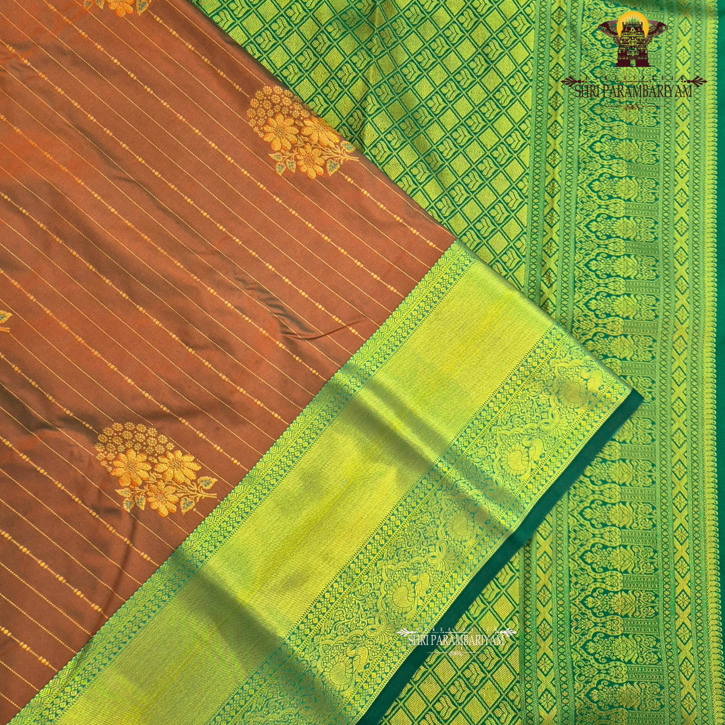 Warm rust brown Saree
