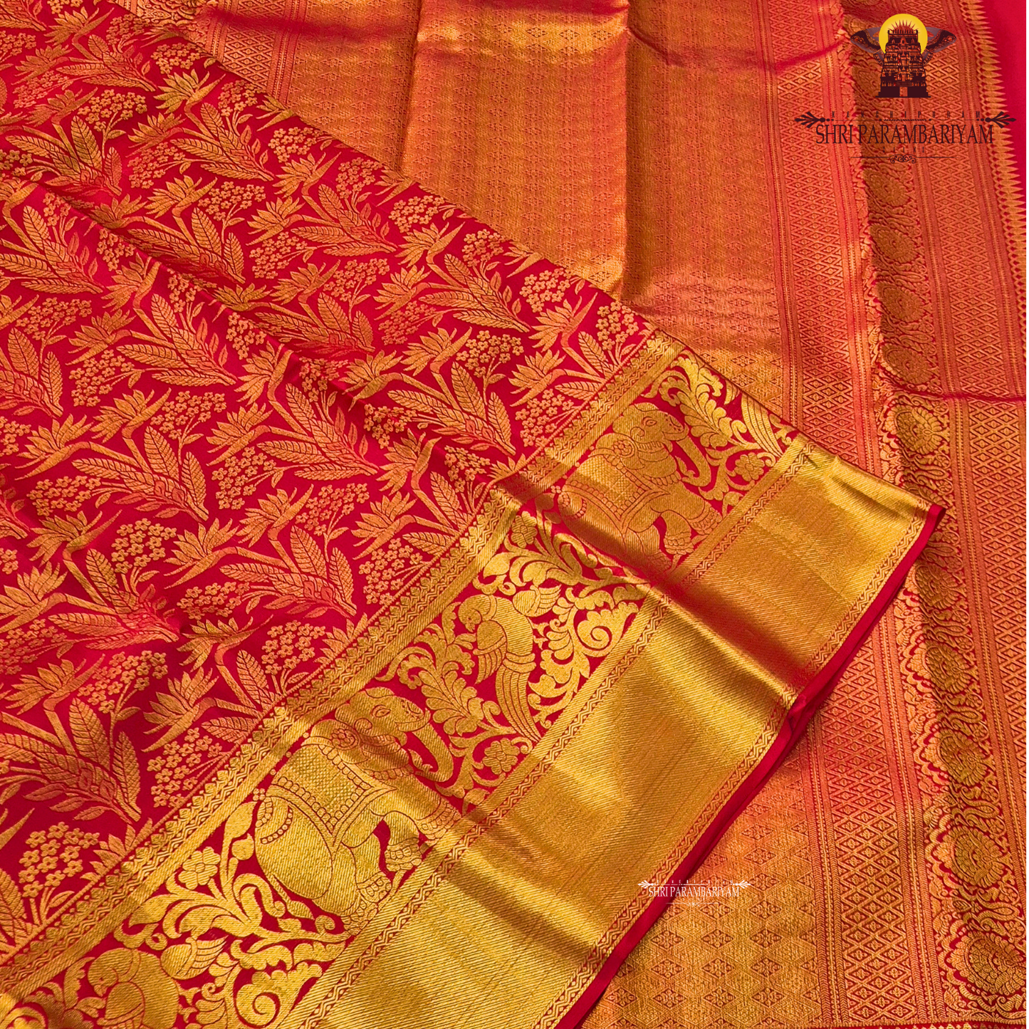 Rich bridal red base with Accentuated with bright gold zari work Saree