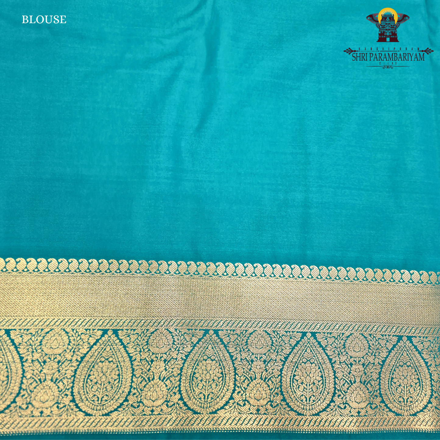 Turning Border Pink Fancy Saree