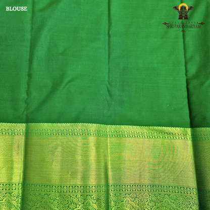 Warm rust brown Saree