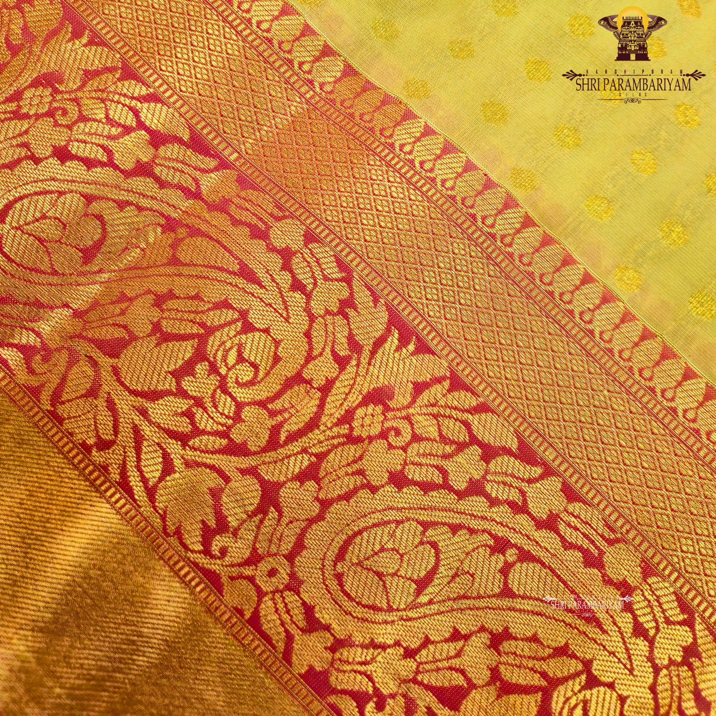 Soft golden beige Saree