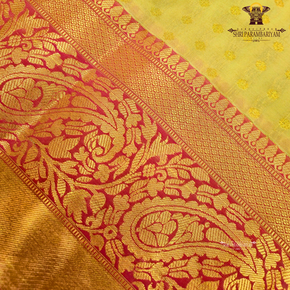 Soft golden beige Saree