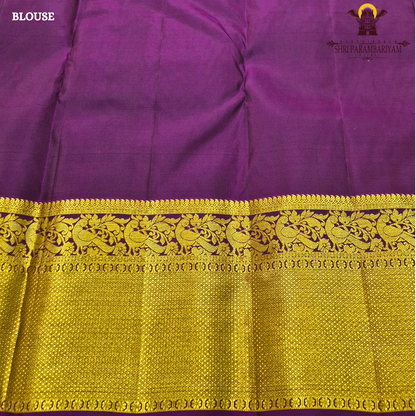 Soft sage green / pastel olive green Saree