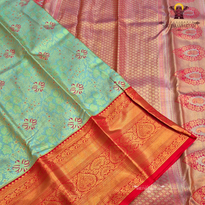 A soft sage green / pista green Saree