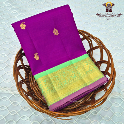 A rich Rani pink (magenta) body decorated with elegant Saree