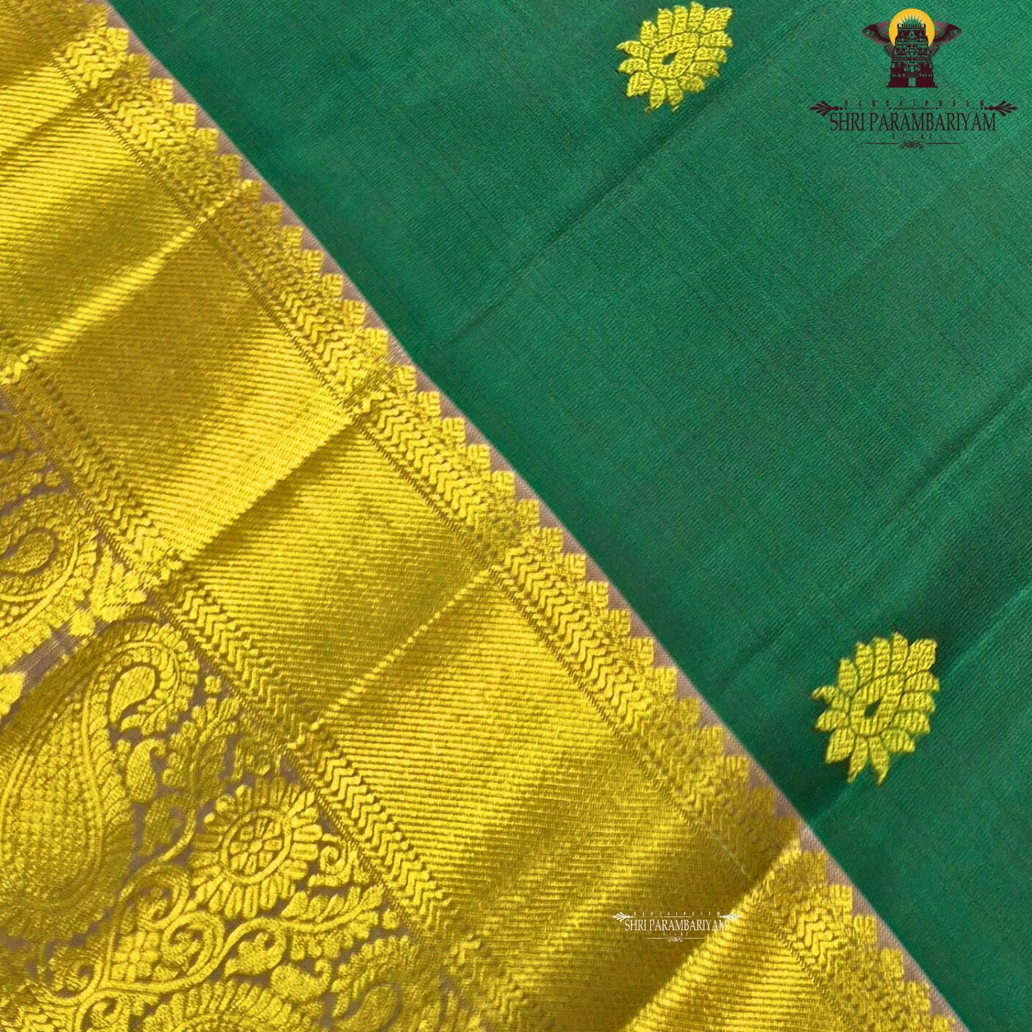 Rich peacock green / deep teal green body with gold zari buttas Saree