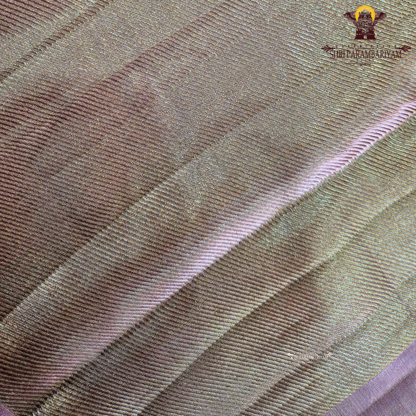 A beautiful champagne gold shade that gives a subtle and luxurious shimmer Saree