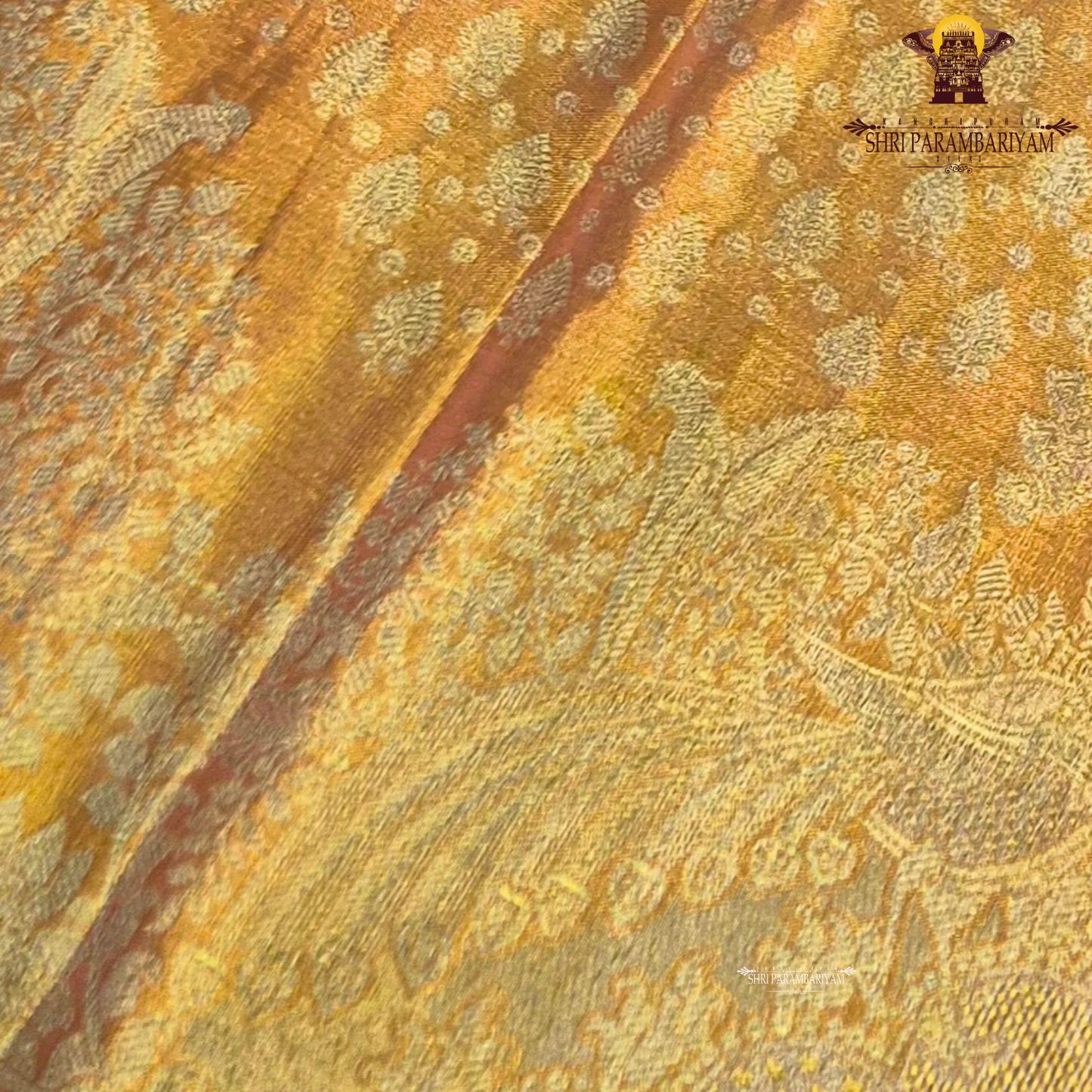 A rich mustard gold (honey gold) shade, radiating a warm and luxurious glow Saree