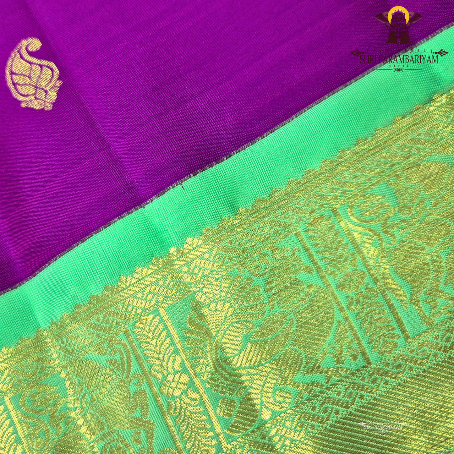 A rich Rani pink (magenta) body decorated with elegant Saree