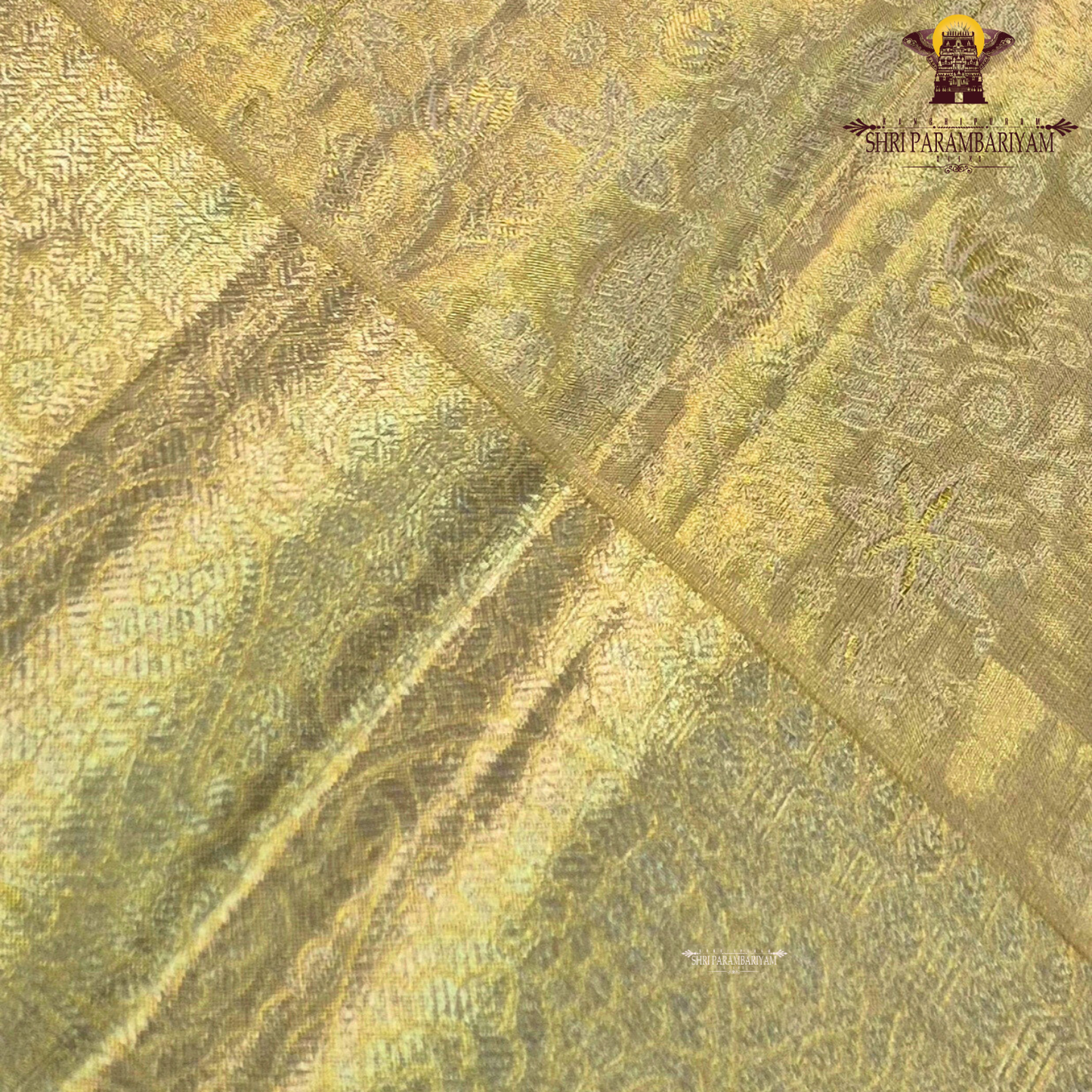 A luxurious antique golden hue that gives a radiant and regal Saree