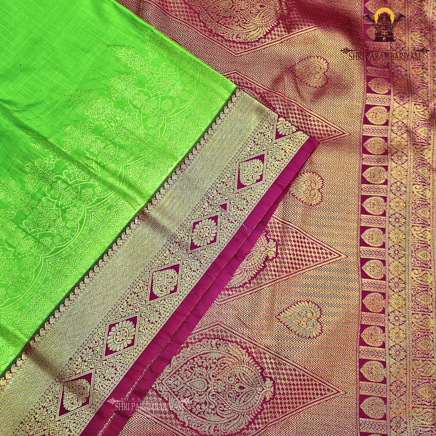 Turning Border Light Green Fancy Saree