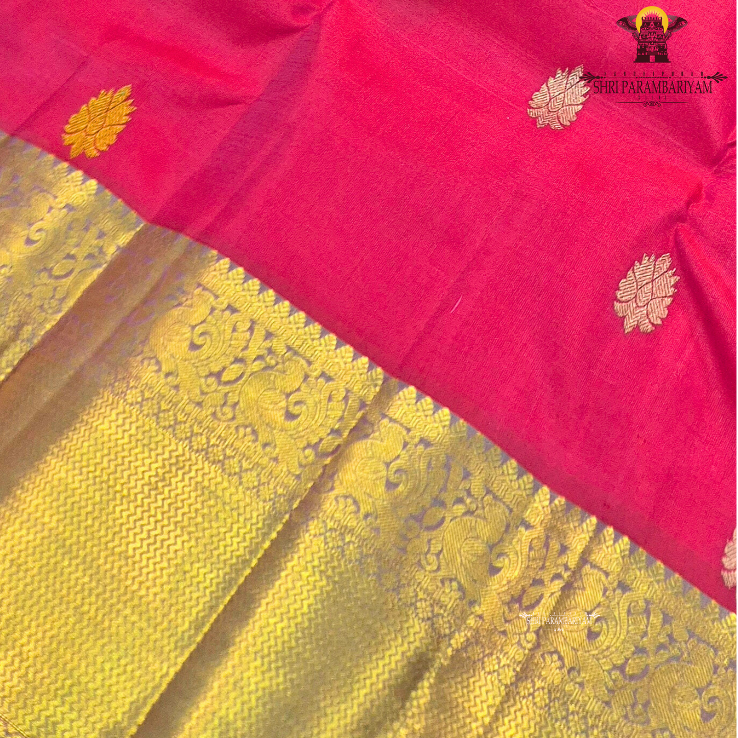 Vibrant rani pink / bright magenta body with gold zari buttas Saree
