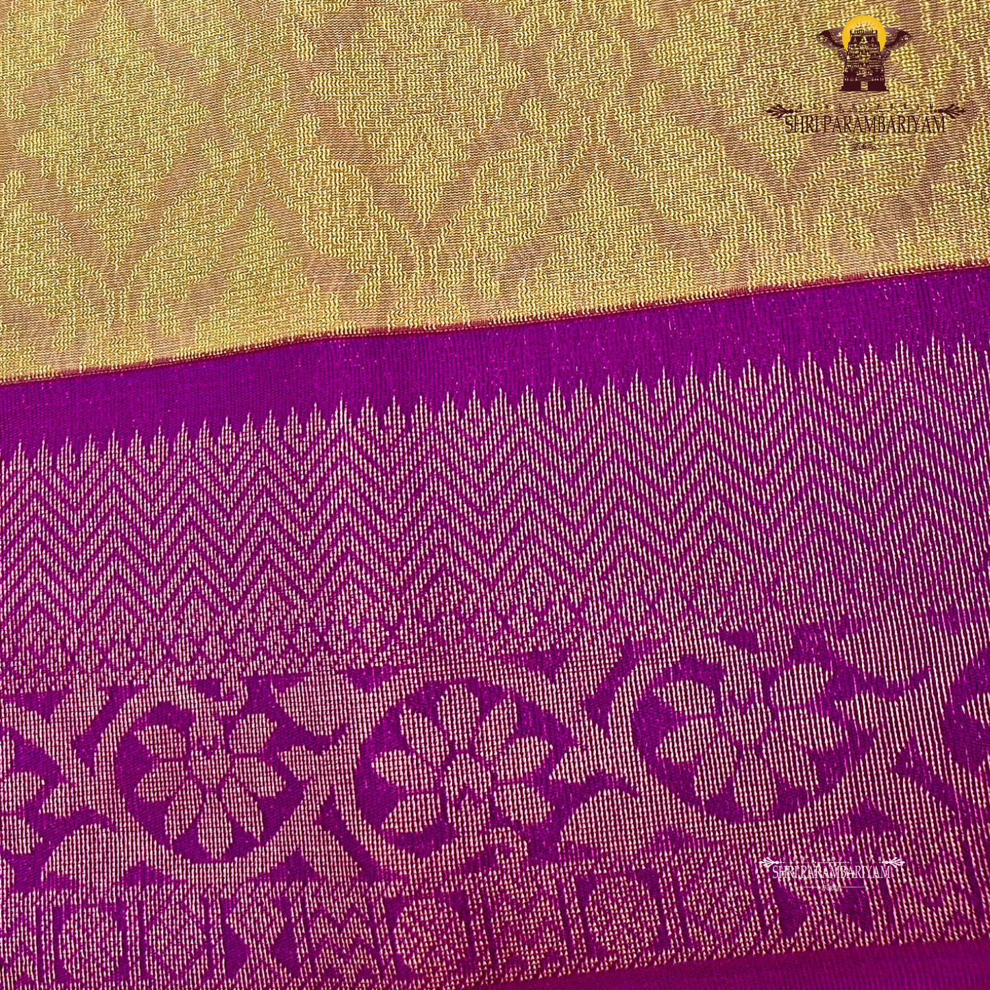 Warm copper brown / light coffee brown with golden undertone Saree