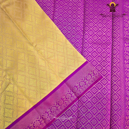 Warm copper brown / light coffee brown with golden undertone Saree