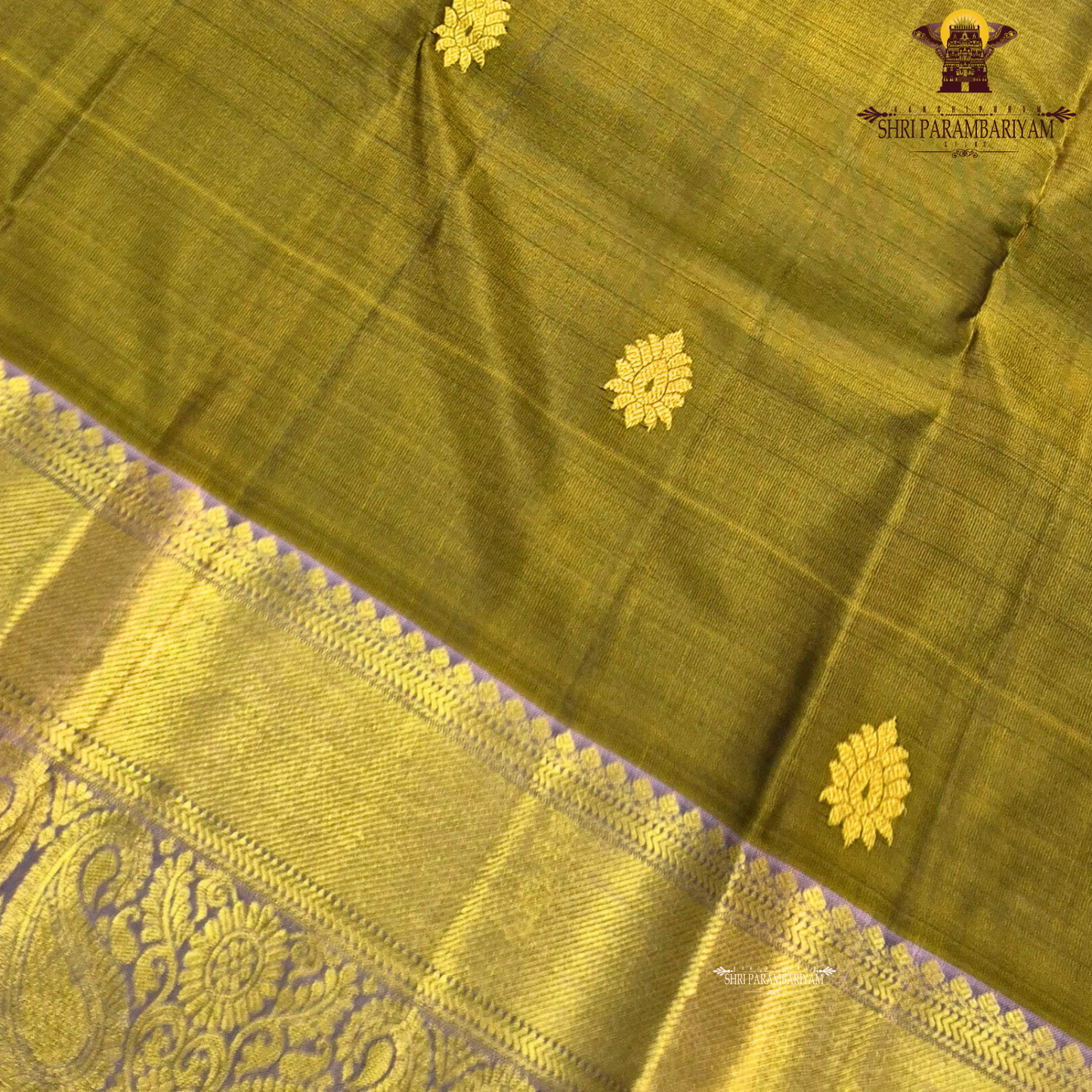 Elegant olive green / moss green body with gold zari buttas Saree