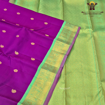 A rich Rani pink (magenta) body decorated with elegant Saree