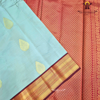 Soft Sage Green / Greyish Olive Green Saree