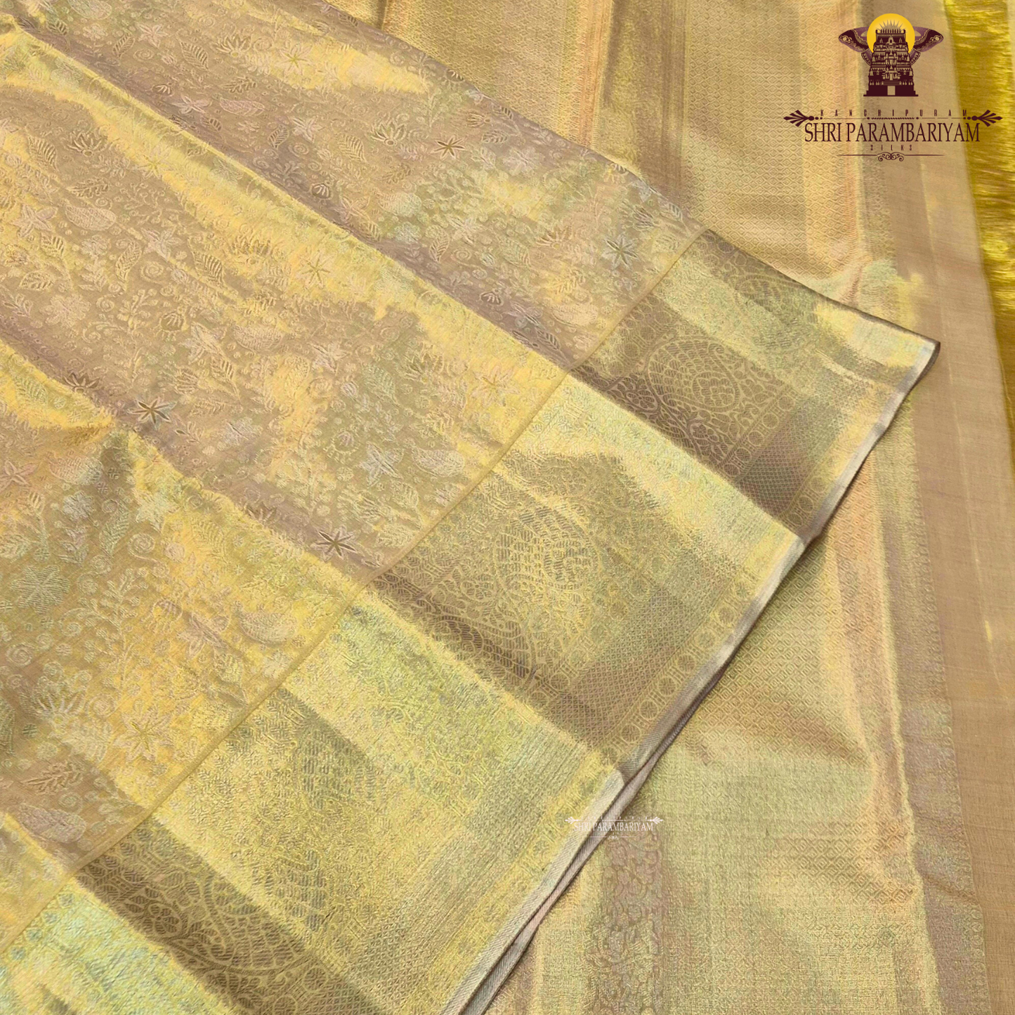 A luxurious antique golden hue that gives a radiant and regal Saree
