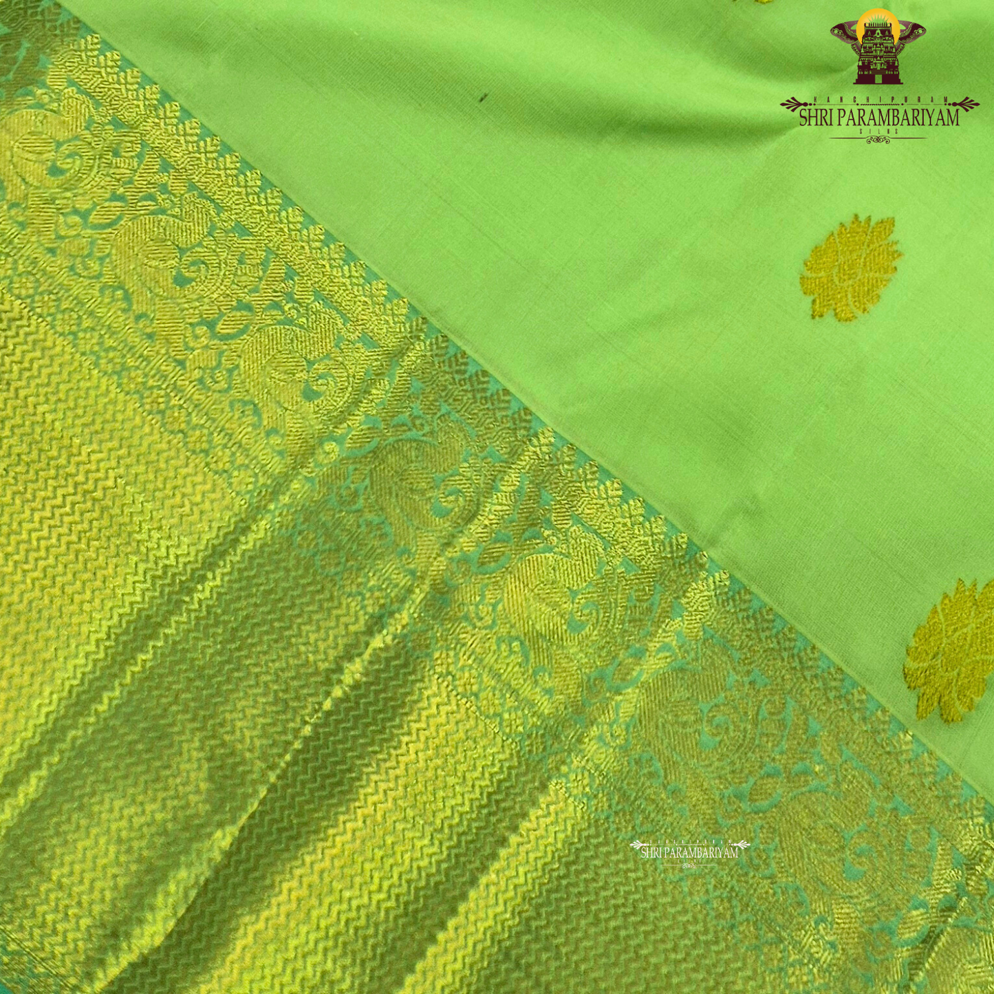 Refreshing parrot green shade Saree