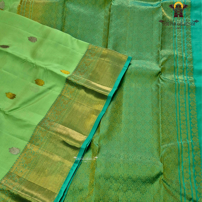 Refreshing parrot green shade Saree